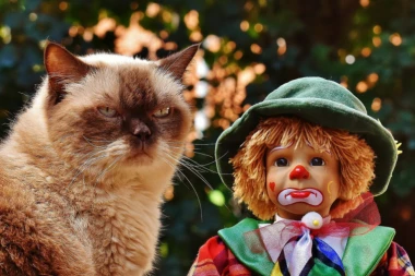 Vodimo vas u bioskop: Poklanjamo karte za "Fantastičan dan na planeti Zemlji"!