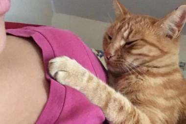 ČESTITAMO: Podeljene ulaznice za "Fantastičan dan na planeti Zemlji", evo ko su dobitnici!