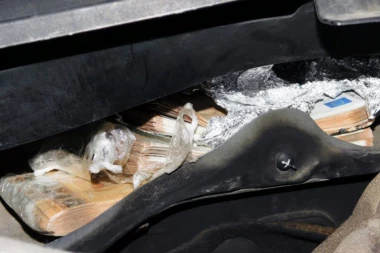 SAKRILI LAŽAN NOVAC U FABRIČKE ŠUPLJINE, ALI IM NIJE USPELO