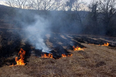 PONOVO GORE NJIVE: I pored apela, večeras požari na njivama kod Ćuprije, Jagodine i Sviljanca