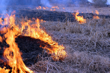 (FOTO, VIDEO) Požar zahvatio ostrvo Hvar: Vatra se brzo širi, beli dim kulja na sve strane!