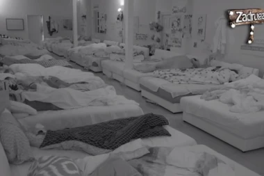 (VIDEO) Tresla se jorgan planina: Miljana i Zola u vreloj akciji!