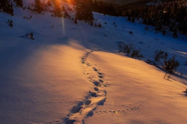 Otkriveno od čega je preminuo planinar na Jastrebcu: Nije imao šanse da preživi usled iznenadnog napada