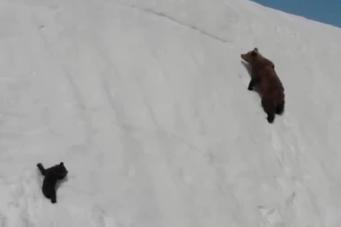 (VIDEO) HIT NA INTERNETU: Meče ne može da se popne na vrh planine, a majka mu ne pomaže, pa je usledio OBRT!