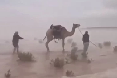 (VIDEO) Apokaliptični snimci iz Saudijske Arabije: Pustinja postala more!