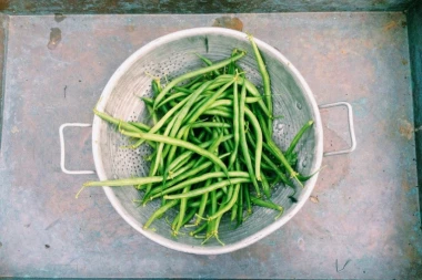 KORISTITE SUPERDIJETALNO POVRĆE: Boranija je najbolja zamena za meso