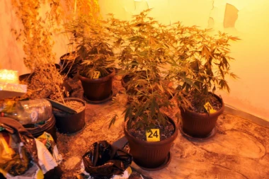 Uhapšeni dileri u Novom Sadu: Pali sa više od 6 kila droge!