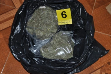 Uhapšeni dileri iz Aleksinca: Pali sa 1,7 kg marihuane