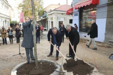 Društvena odgovornost i uspešno poslovanje krunisani sadnjom stabala u Skadarskoj ulici