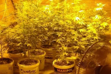 (FOTO) Policija u Nišu pohapsila dilere i njihove "klijente"