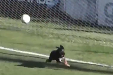 (VIDEO) KOMIČNA SCENA KOJA JE OBIŠLA SVET: Teško da će se ova genijalna situacija ikada ponoviti u istoriji fudbala!