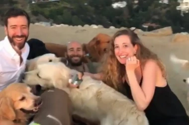 (VIDEO) Zaprosio je devojku, i čekajući njen odgovor držao u "zasedi" 16 pasa