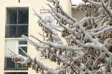 (FOTO) Najviše im se obradovali stariji sugrađani: Aktivisti SNS u akciji čišćenja snega na Vračaru