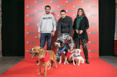 Humanost na delu – napušteni psi pronašli novi dom