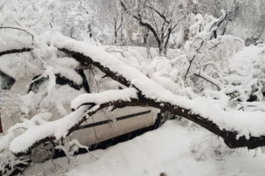Apokalipsa u Rumuniji: Ledena kiša sve urnisala, drveće i bandere oborene, stotine domova bez struje!