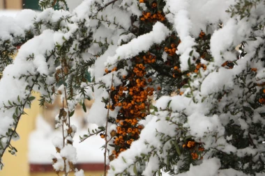 (FOTO) Oprez! Pala novogodišnja rasveta na Tašmajdanu