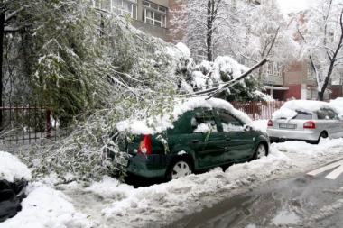 JUČE JE DRVEĆE PALO NA 103 MESTA U BEOGRADU: Evo kome da se obratite ako vam polomi kola, prozor ili blokira vašu ulicu