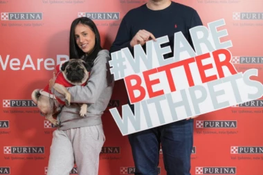 HUMANOST NA DELU: Napušteni psi pronašli novi dom