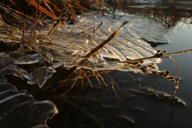 Danas ujutru mraz i magla, a tokom dana još gore!