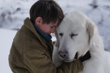 Bela i Sebastijan za krznene prijatelje: Poznati glumci i MMA borac sa mališanima farbaju kućice za pse lutalice