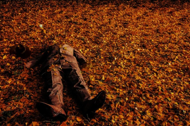 UŽAS! Pronađeno telo u fazi raspadanja: Izvlačili drva iz šume pa od prizora PALI U NESVEST!