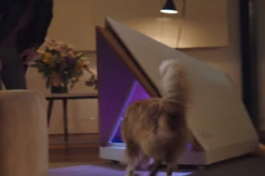 (VIDEO) PRAKTIČNO I LEPO: Napravljena kućica koja kuce štiti od buke vatrometa