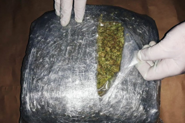 VELIKA ZAPLENA U BAJINOJ BAŠTI: Policija u plastenicima pronašla čak 240 kilograma marihuane!