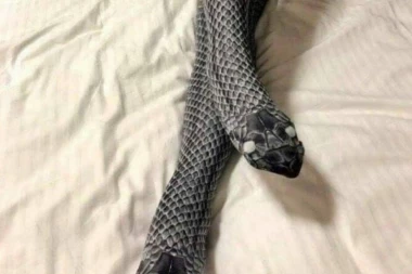 Kupila je zmijske čarape da bi zavela muža, a onda joj je on POLOMIO NOGE