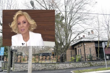 Saznajemo! Živojinovićima se osladio lopovluk: Brena ponovo krade struju!