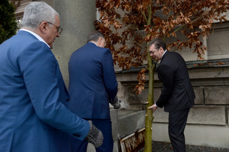 (FOTO) Vučić uneo badnjak u zgradu Predsedništva