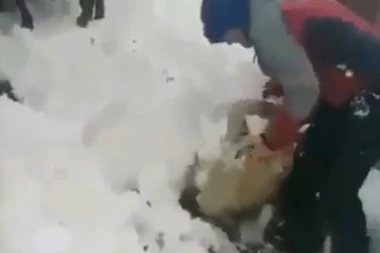 TUGA: Na hiljade grla stoke stradalo na Tibetu!