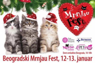 POKLONITE SEBI NOVOG PRIJATELJA: Udomite macu na predstojećem Mrnjau festu