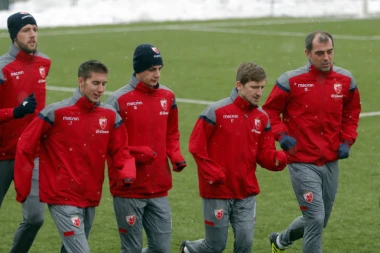 Zvezda dovela još jednog napadača!