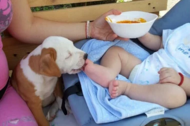 Vej je ženka koja je spasila ljudsku bebu od sigurne smrti: Našla je novorođenče na ulici i uradila neverovatnu stvar