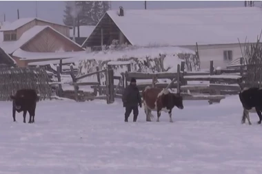 TEMPERATURA PALA NA MINUS 55: U najhladnijim regionima u Rusiji škole zatvorene
