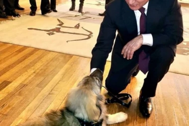 (VIDEO) Putin sa novim ljubimcem: Kremlj objavio snimak lidera Rusije sa šarplanincem Pašom