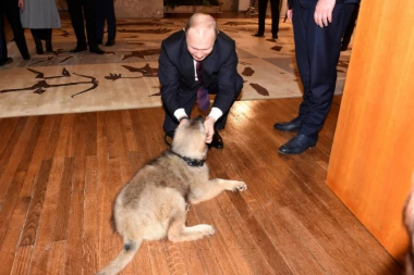 (FOTO) Putin i šarplaninac Paša se upoznali: Šef Kremlja oduševljen poklonom!