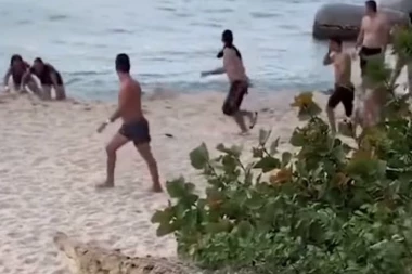 (VIDEO) VELIKO IZNENAĐENJE NA POPULARNOJ PLAŽI: Iz žbunja odjednom izašla ogromna neman, svi su se razbežali u panici!