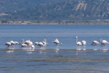 (VIDEO) Zbog OVOGA u Albaniju dolazi sve više turista