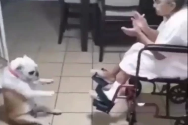(VIDEO) Pogledajte kako baka i njen pas uživaju u samo jednoj stvari!