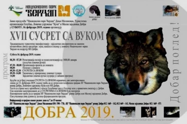 Hajka na nedužne životinje usred nacionalnog parka: Ubijanje vukova ne može i ne sme da bude turizam