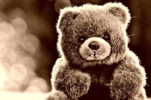 SKANDAL NA TRŽIŠTU DEČJIH IGRAČAKA: Medvedić objašnjavao deci fetiše i kako da zapale šibicu!