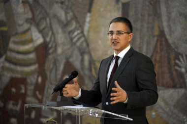 Stefanović: Bez ijednog incidenta na mitingu