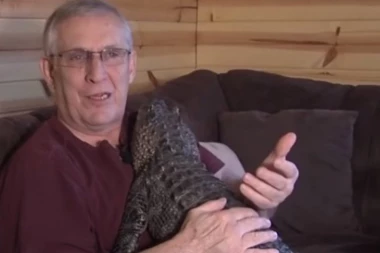 (VIDEO) Zastrašujuće: Čovek drži aligatora u kući kao ljubimca!