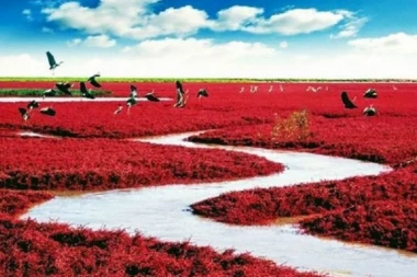 (FOTO) CRVENI RAJ NA ZEMLJI: Plaža koja nema more!