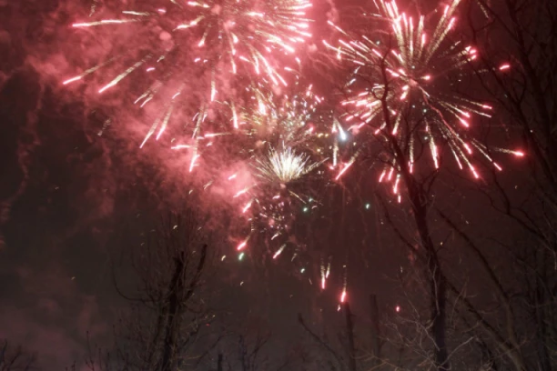 SREČNA NOVA GODINA! NEKA VAM SE OSTVARE SVE ŽELJE!