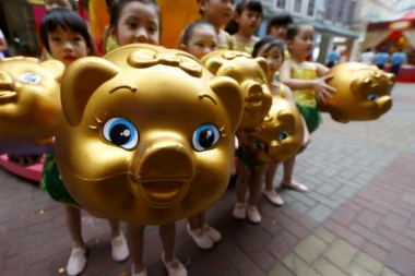 ŠTA DONOSI GODINA SVINJE: Zecu sve ide s lakoćom, a OVAJ znak će morati baš da se pomuči