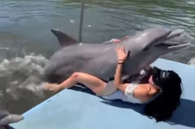 (VIDEO) Delfin zaskočio devojku, bukvalno!
