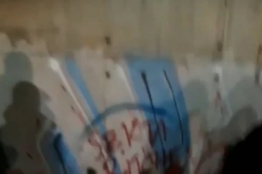 (VIDEO) Svirep čin u Železniku: Pronađena 3 mrtva psa, ostavljena sektaška poruka