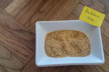 OBARA ŠEĆER, TOPI KILOGRAME, A JAČA I PLODNOST: Seme ove čudesne TRAVE košta samo 150 dinara i morate je probati!